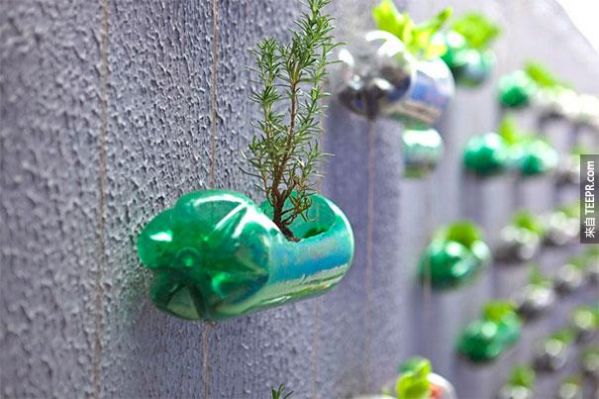 plastic-bottles-recycling-ideas-9.jpg