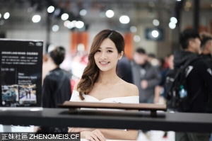 台北車展SG