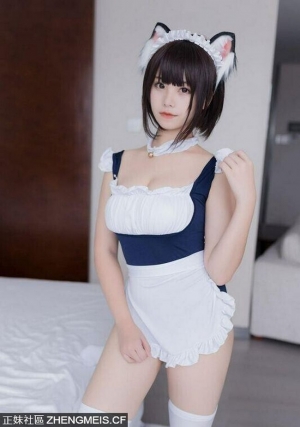蜜汁猫女仆娘写真[27P]