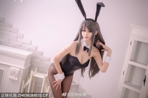 【青春猪头少年不会梦到兔女郎学姐】樱岛麻衣兔女郎cos 沧霁桔梗 ...