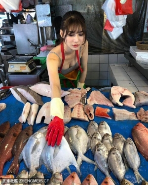 台湾美孝顺女阿澎帮家里忙卖鱼