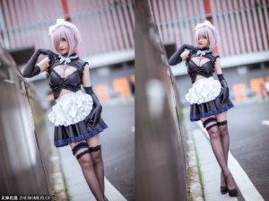 FGO命運冠位cosplay (10P)